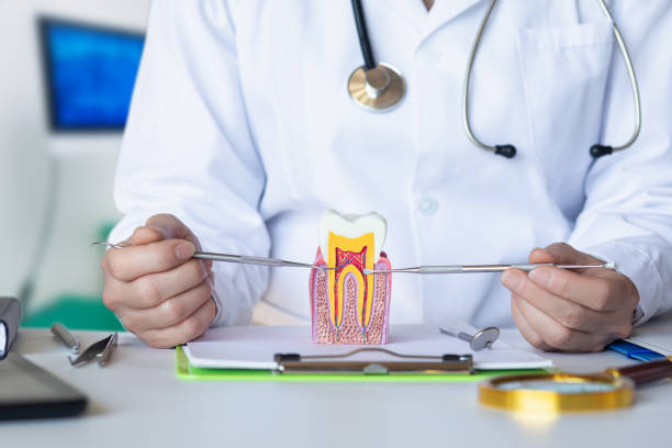 Best Emergency Root Canal Treatment in Hopatcong, NJ